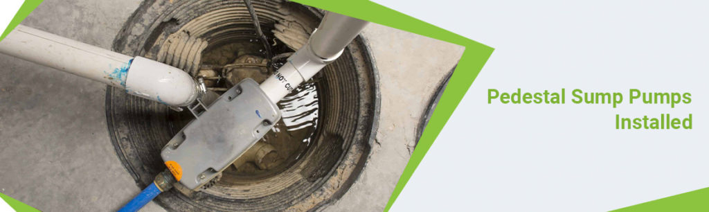 Pedestal Sump Pumps Atlanta Sump Pump Geeks